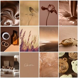 🤎Mocha Mousse (Pantone Color of the Year 2025)